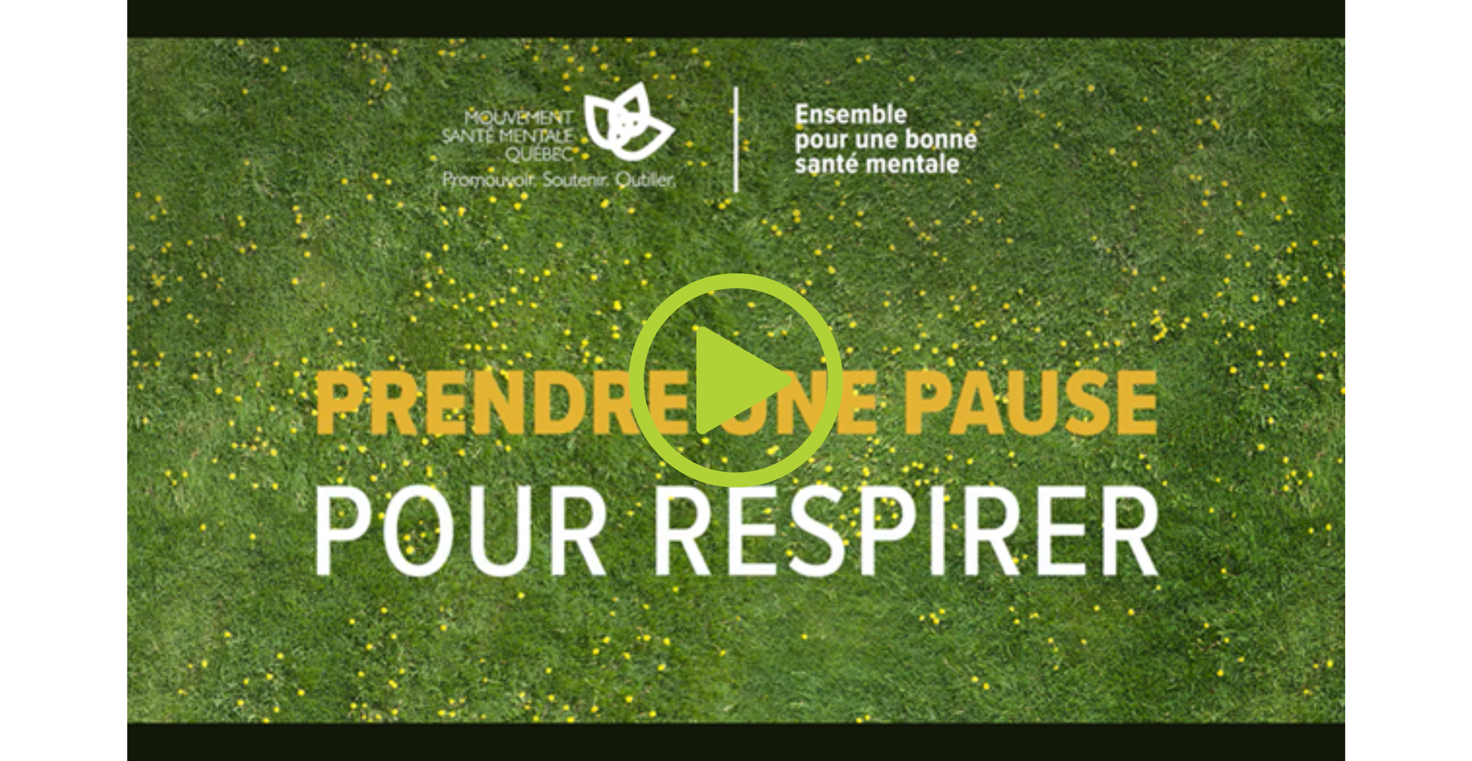 Prendre une pause pour respirer (vidéo)